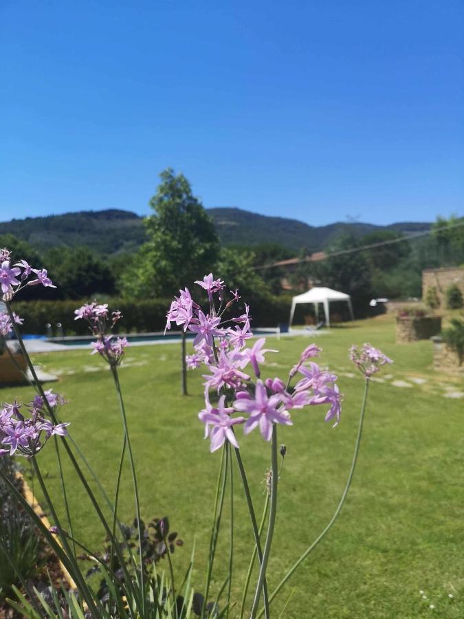 Bed and Breakfast Alba Morus Bed E Breakfast Sentiti A Casa Nel Cuore Della Toscana Arezzo Zewnętrze zdjęcie