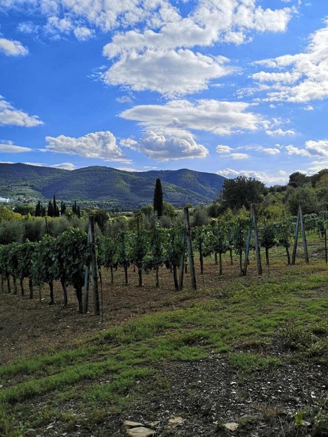 Bed and Breakfast Alba Morus Bed E Breakfast Sentiti A Casa Nel Cuore Della Toscana Arezzo Zewnętrze zdjęcie