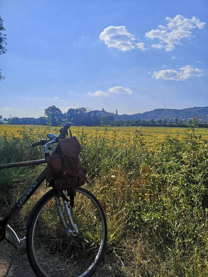 Bed and Breakfast Alba Morus Bed E Breakfast Sentiti A Casa Nel Cuore Della Toscana Arezzo Zewnętrze zdjęcie