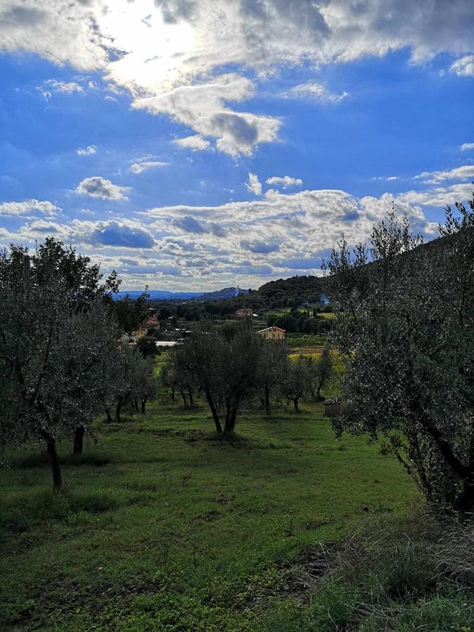 Bed and Breakfast Alba Morus Bed E Breakfast Sentiti A Casa Nel Cuore Della Toscana Arezzo Zewnętrze zdjęcie