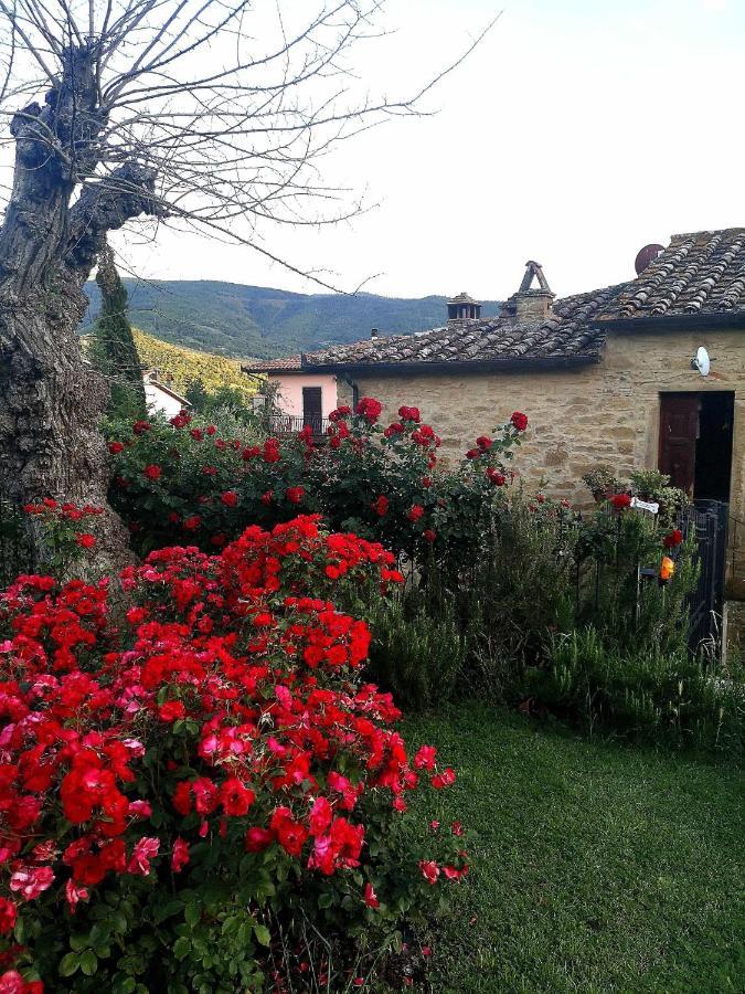 Bed and Breakfast Alba Morus Bed E Breakfast Sentiti A Casa Nel Cuore Della Toscana Arezzo Zewnętrze zdjęcie